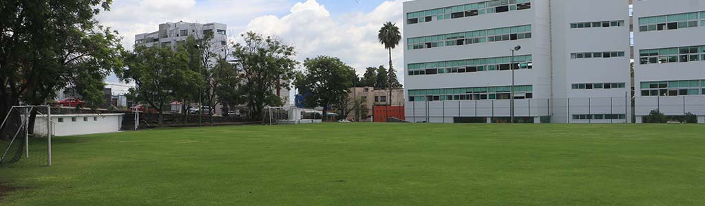 Cancha de sóftbol