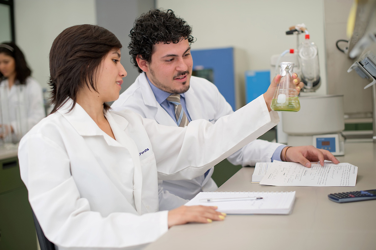 Grupos de investigación con iniciativas y proyectos de impacto social del Tec de Monterrey