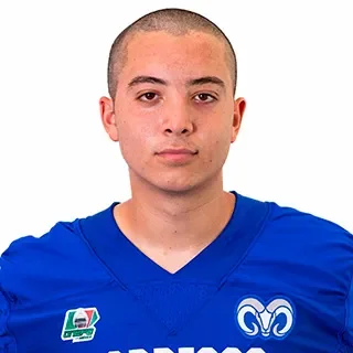 Fabio Ernesto Palmero Sau