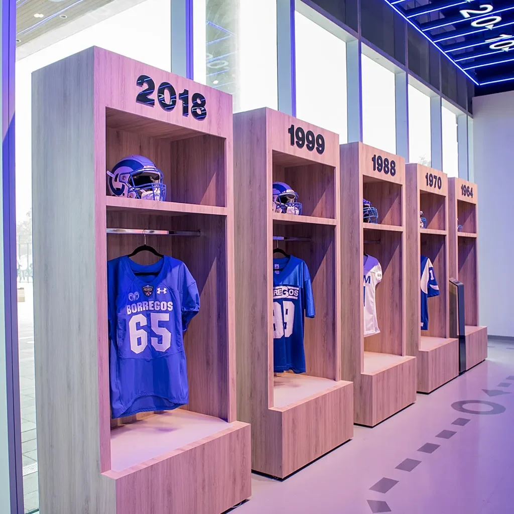 Historico de Borregos Tec