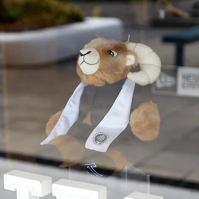 Puebla tienda TECStore