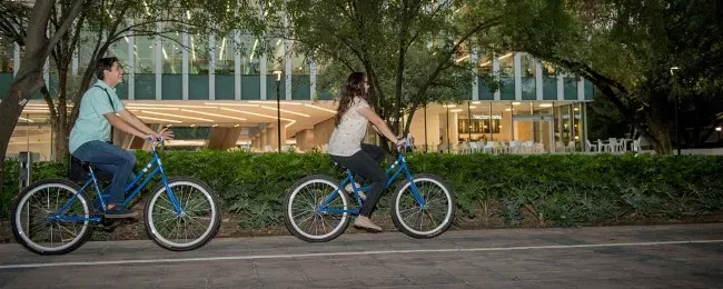 Igualdad de Género iniciativas y programas con Sentido Humano en el Tec de Monterrey 