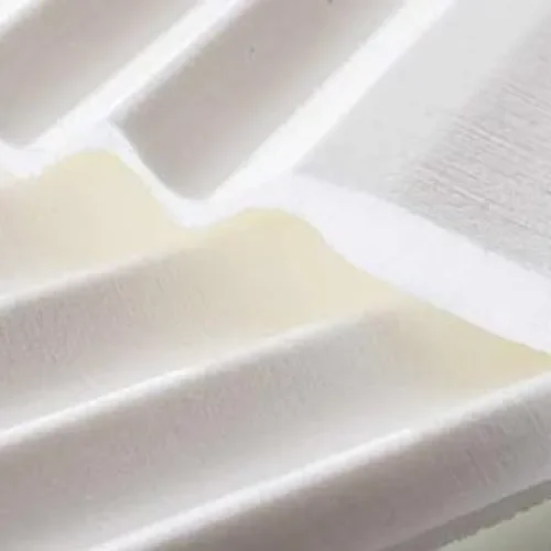 Estudiantes realizan propuesta para reducción de huella de carbono