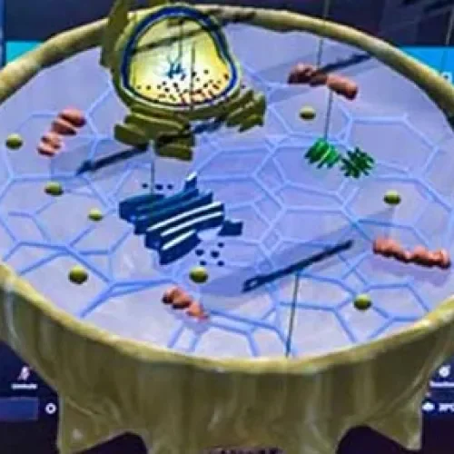 Educación en la palma de la mano; usan realidad aumentada en clase