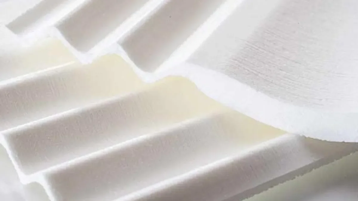 Estudiantes realizan propuesta para reducción de huella de carbono